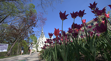 Flowers in front of University Hall