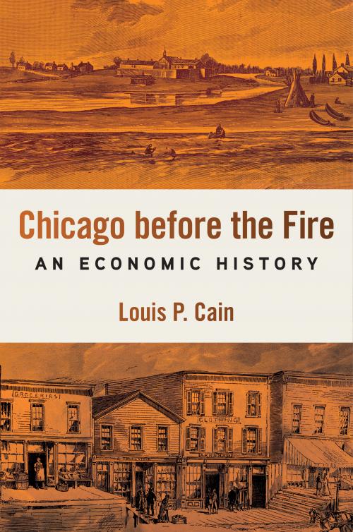 The cover of the book "Chicago before the Fire"